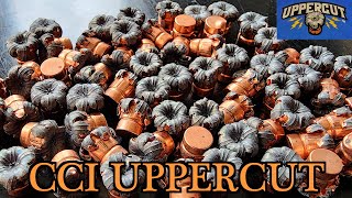 CCI UPPERCUT  THE BEST 22LR SELFDEFENSE AMMO EVER MADE [upl. by Stevena602]