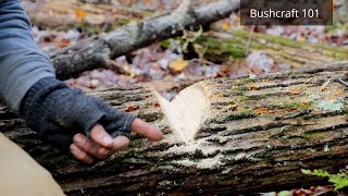 This Simple Trick Is a Must for Every Camp Firewood Survival Skills Bushcrafting [upl. by Leake]