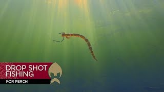 Dropshot fishing for Perch  WestinFishing [upl. by Kannan973]