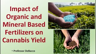 Impact of Organic and Mineral Based Fertilizers on Cannabis Yield [upl. by Margit]