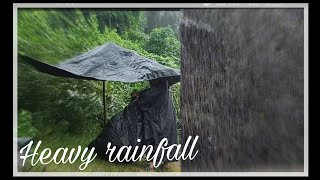 Wild Camping in heavy rainfall🌧️⛺ naturelovers camping siangriver Itinerantmaklek17vlogs [upl. by Darmit]