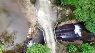 Arenal Observatory Lodge Bird Tower amp Lagoon [upl. by Larimore]