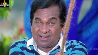 Brahmanandam Comedy Scenes Back to Back  Vol 3  Non Stop Telugu Comedy  Sri Balaji Video [upl. by Sivrad]