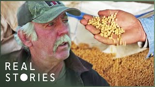 The Farmer Who Took On Monsanto David Vs Goliath Documentary  Real Stories [upl. by Nnylsaj]