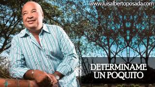 Luis Alberto Posada  Determiname Un Poquito Audio Oficial [upl. by Nevar]