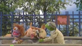 Sesame Street Favorite Animals at the Childrens Zoo  Kermit News [upl. by Aicekal]