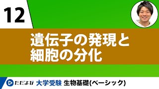 【生物基礎】遺伝子の発現と細胞の分化【第12講】 [upl. by Ennaitak204]