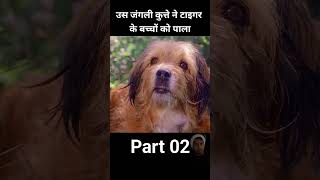 Kutta tiger 🐅 k bache palta h part 2 dekhe shorts tiger dog [upl. by Duvall]