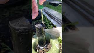 Sprikler irregation  How to RainBird sprinkler adjustment  rainbird irrigation shortvideo [upl. by Siberson]