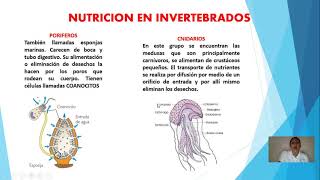 Grado 6º Nutrición en Invertebrados y Vertebrados [upl. by Maidy]