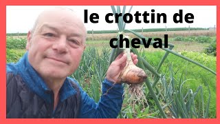 le crottin de cheval pour le jardin [upl. by Gamber]