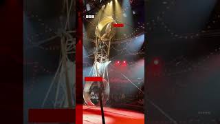 Circus performer falls from wheel of death Circus CircusPerformer Shorts BBCNews [upl. by Ahsiruam854]