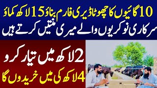 How to start Small Dairy Farm with 10 small cows In pakistan [upl. by Seltzer]