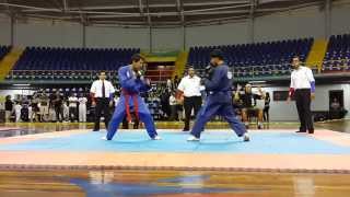 Campeonato Nacional JiuJitsu Tradicional 2013 Final [upl. by Nairehs]