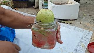 Guava plants from Guava mahasin ayurbedic plants Hybrid humic acid rooftops magical plants [upl. by Gabrielson]