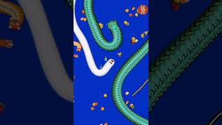 WORMS ZONE iO PRO FUN 😀 BIG SNAKE 🐍GAME PLAY EP 1070 SHROTS WORMSZONEIO BIGSNAKEGAME SNACKGAME3D [upl. by Ayikin]