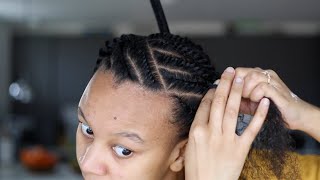 Quick And Simple Flat Twist Natural Hairstyle [upl. by Garceau]