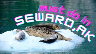 Top 5 things to do in Seward AlaskaDid you try them all Travel Tips for Alaska [upl. by Mauretta]