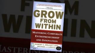 View Books on Intrapreneurship and Corporate Entrepreneurs [upl. by Algernon]