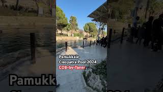 Cleopatra pool Pamukkale 2024 viralvideo family foryou pamukkale explore [upl. by Coney]