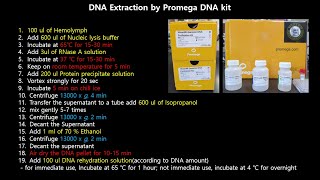 DNA extraction protocol by using kitWizard Genomic DNA Purification Kit Promega [upl. by Hazeghi]