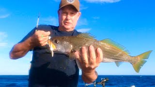 Off Shore Bait Fishing Newcastle [upl. by Laehcym]