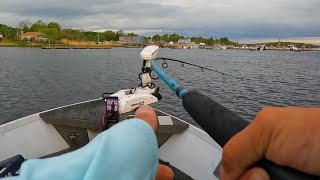 Merrimack River Striped Bass Fishing May 2024 [upl. by Akemad]