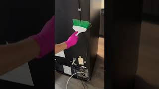 Dusty McDusterson in the house Enjoy satisfyingcleans satisfyingvideo [upl. by Sherourd]