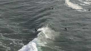 Surfs Up at Pacific City [upl. by Vitus33]