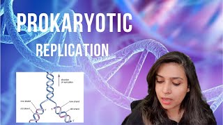 Prokaryotic Replication  leading amp lagging strands Okazaki fragments CSIR  PART 1 of the series [upl. by Malvia]