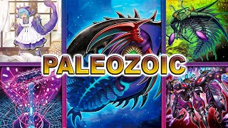 Paleozoic Deck 2024 EDOPRO [upl. by Egor928]