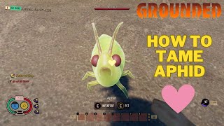 How To Tame an Aphid in Grounded  Grounded Guide [upl. by Pax]