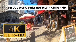 🇨🇱 Street Walk Viña del Mar  Chile  4K [upl. by Aihsetel839]