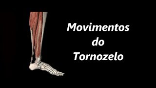 Movimentos do Tornozelo em 3D [upl. by Zielsdorf]