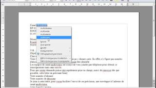 Open office ou Libre office  Texte 03  Correcteur orthographe [upl. by Trask]