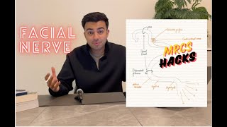 Facial Nerve  The 7th Cranial Nerve VII  MRCS Hacks [upl. by Gibeon]