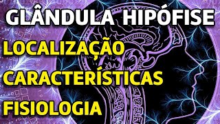 Características da Glândula Hipófise [upl. by Tana235]