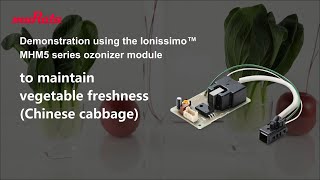 Demonstration using the Ionissimo™ MHM5 series ozonizer module to maintain vegetable freshness [upl. by Rubens]