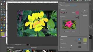 Photoshop Elements Tutorial Replacing Color Adobe Training Lesson 149 [upl. by Aidyn]