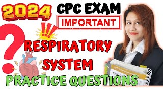 Respiratory System Practice Questions [upl. by Shulem53]