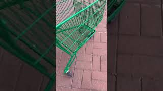 Why are European shopping carts made this way 🤔 [upl. by Cired685]