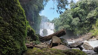 Nauyaca Waterfall Nature Park [upl. by Olen]