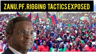 BREAKING ZANU PF Rigging tactics exposed in Namibia Elections [upl. by Eirrol]