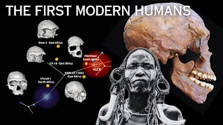 New Fossil Discovery in Africa Changes Early Human History [upl. by Yakcm263]