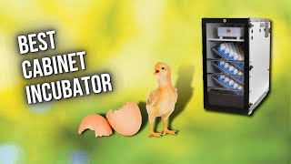 Best Cabinet Incubator — 5 Best Egg Incubator [upl. by Yemerej]