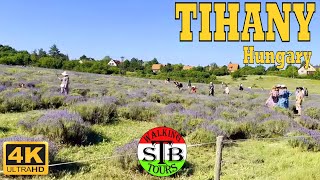 Tihany 🇭🇺 Hungary 2022 Lavender Festival and Lavender Weeks 54 min [upl. by Poll]