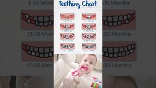 Baby teething chart shorts babycare babyteeth teeth newbornbaby baby parwarishduniya [upl. by Giardap324]