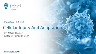 Cellular Injury And Adaptation P2  Pathology [upl. by Elleirua]