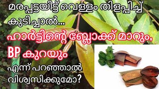 നീർമരുത്  Arjuna Terminalia  Heart Block  Blood Pressure facts heartblock heart bloodpressure [upl. by Mario]