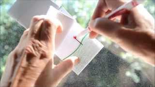 How To Make a Quick amp Easy Flipbook Flip book Drawing of a Flower Growing [upl. by Hertberg]